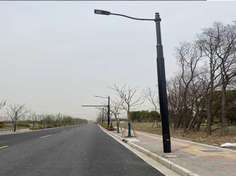 崇阳县上海综合杆 太阳能路灯工程